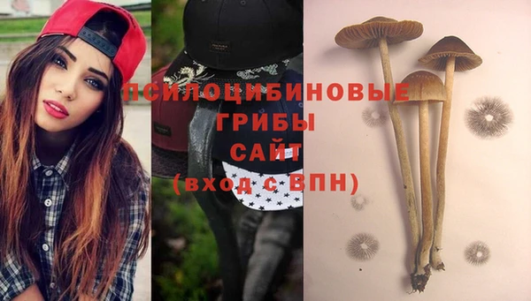 мяу мяу мука Кулебаки