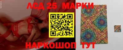 стафф Гай