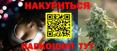 стафф Гай