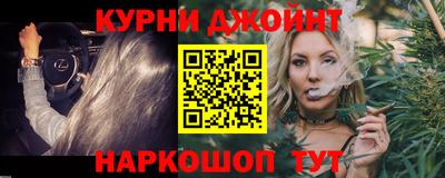 стафф Гай