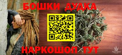крисы Гагарин