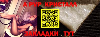 крисы Гагарин