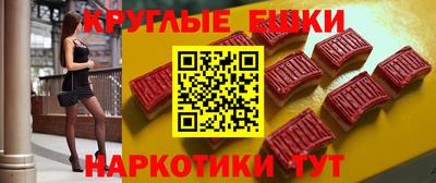 стафф Гай