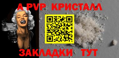стафф Гай