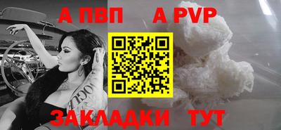 стафф Гай