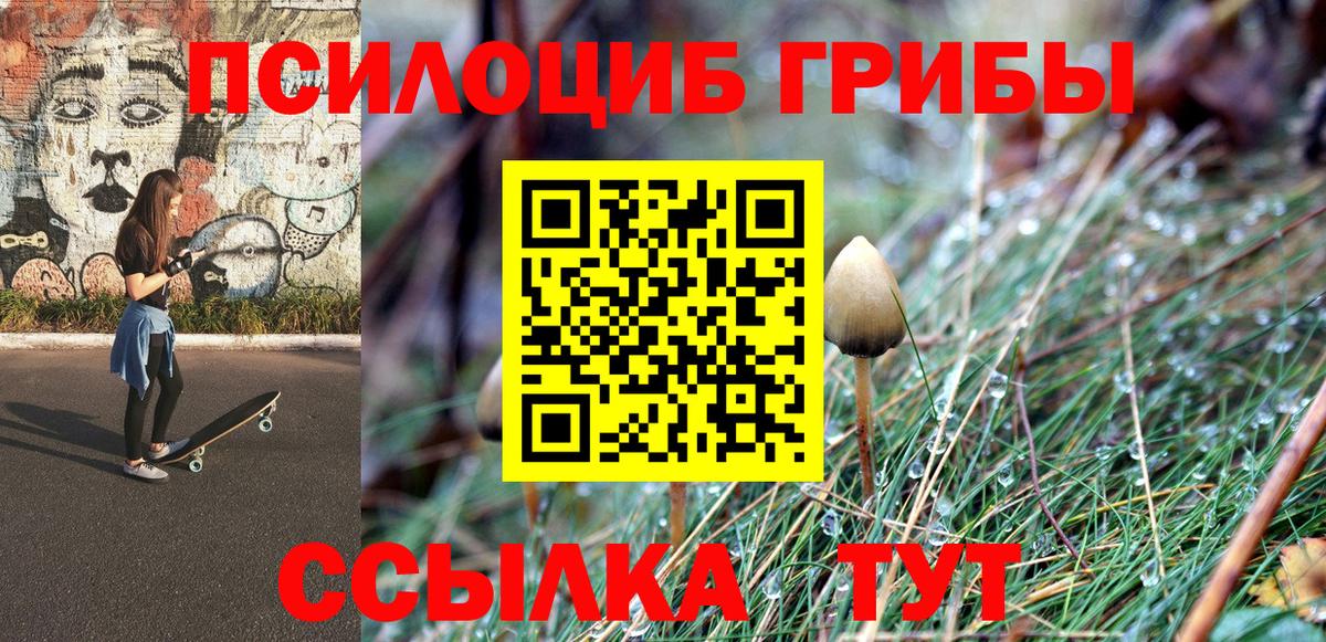 Галлюциногенные грибы Psilocybe Чусовой