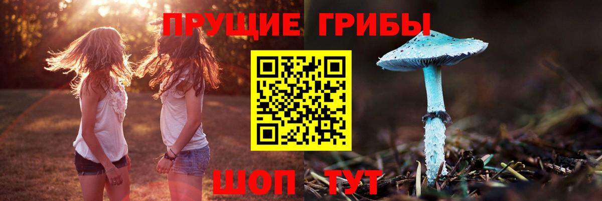Галлюциногенные грибы ЛСД  Вход с VPN  купить наркотики сайты  Чусовой 